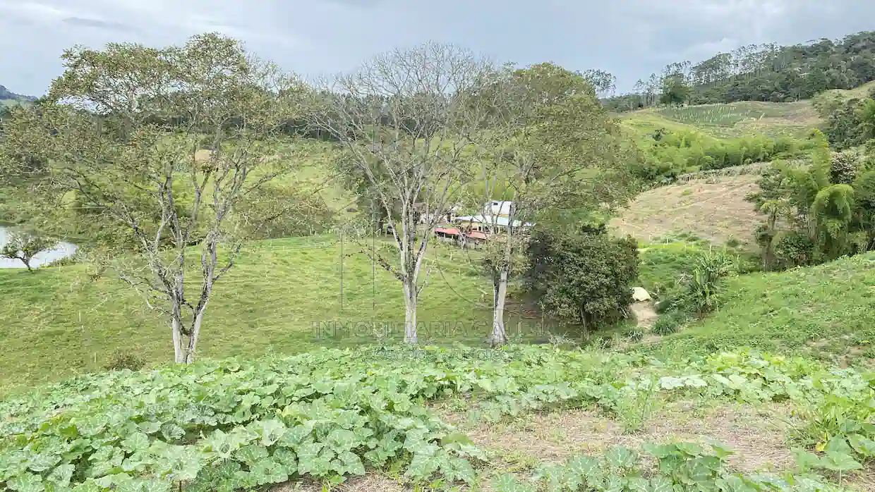 Finca El Diamante